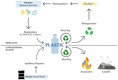  Biobaserat Polyhydroxyalkanoat -  Ett hållbart alternativ för framtiden?