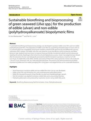 Cellulosa – Ett mirakelmaterial för hållbar biorefinering och innovativ polymerproduktion!